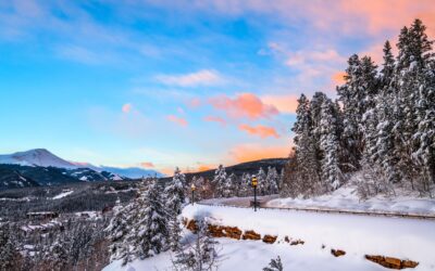 Committed to Colorado and you