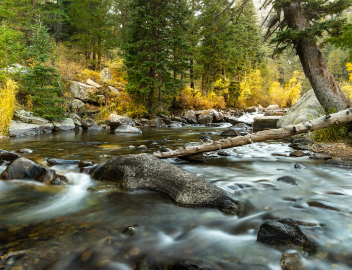 Environment Report – ABWC-2026-10-Oct